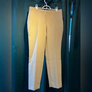 Zara Tan Dress Panta